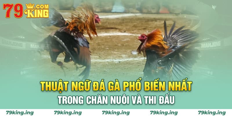 thuật ngữ đá gà