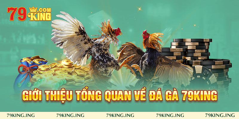 Tìm hiểu tổng quan đá gà 79King